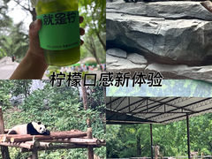-红山森林动物园