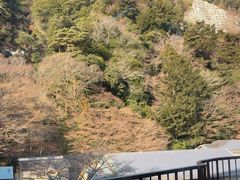 -月光园游月山庄