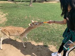 -西安秦岭野生动物园