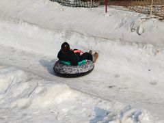-沈阳奥体冰雪嘉年华