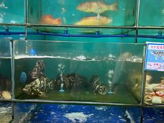 -南海渔家•海鲜•正宗海南菜(海棠湾店)