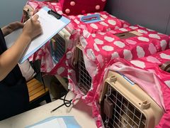 -关爱动物医院·心脏·中兽医·异宠(金牛路分院)