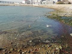 -黑石礁公园