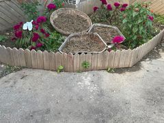 -高家大院烤全羊