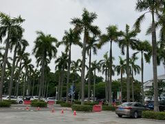 -广东科学中心