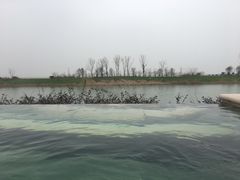 -苏州湾王焰温泉度假酒店