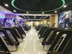 -洛阳郁金香牡丹园