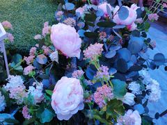 -同庆楼(花园店)