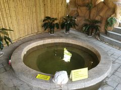 -中华郡温泉