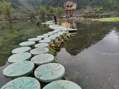 -靖西鹅泉风景区