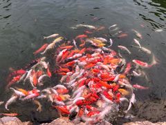 -龙凤山庄影视度假村