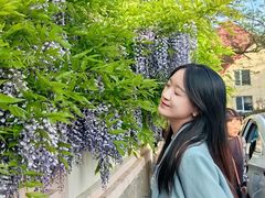 -青岛第三海水浴场