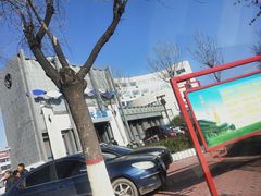 -天天鱼港·海鲜·鲅鱼水饺·招牌烤鸭(黄骅店)
