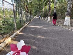 -比格比萨自助(新辰里学清路店)