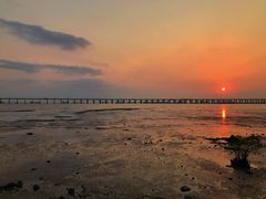 -宝安西湾红树林湿地公园