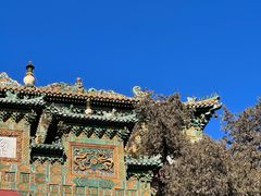 -颐和园