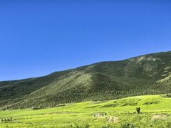 -扁都口生态休闲旅游区