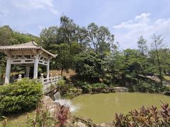 -中国沉香文化博物馆