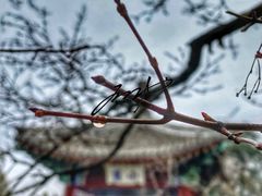 -香山公园