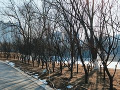 -河北省园博园