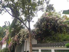 -深圳国际园林花卉博览园