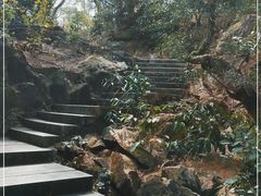 -野狸岛