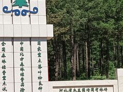 -塞罕坝国家级自然保护区