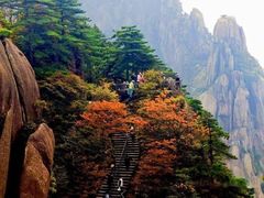 -黄山风景区