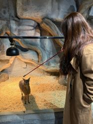 -Zoolung Zoolung动物主题公园(海信广场店)