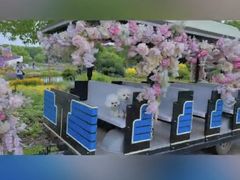 -上海鲜花港