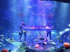 -沈阳海洋探索中心