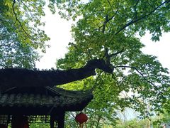 -窦圌山风景区