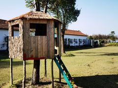 -前小桔亲子创意农场·草莓采摘·露营烧烤