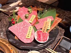 -老乾杯(深圳湾万象城店)