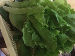 -荔城生鲜盛宴(番禺旗舰店)