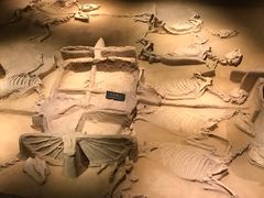 -洛阳周王城天子驾六博物馆