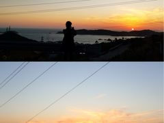 -枸杞岛