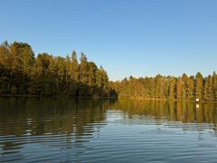 -上海海湾国家森林公园