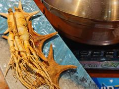 -千岛蚝高压锅生蚝·人参火锅(白云万达店)