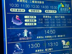 -泉城欧乐堡海洋极地世界