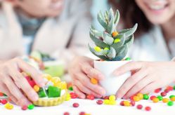 -女王风尚STUDIO·轻奢化定制