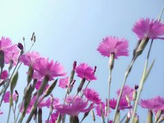 -郑东新区龙湖公共艺术中心