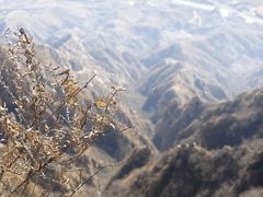 -鸡鸣山旅游风景区