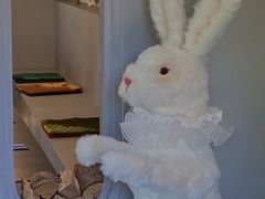 -Supine Bistro溯泮餐厅