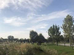 -安德鲁户外烧烤帐篷营地(马泉营店)