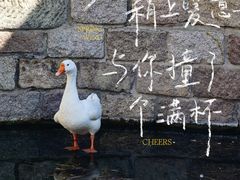 -春风习习