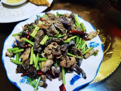 -广发草原蒙古部落