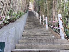 -道教老君洞