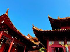-深圳仙湖植物园