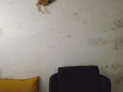 -春庄咖啡SpringHues(钟楼小区店)